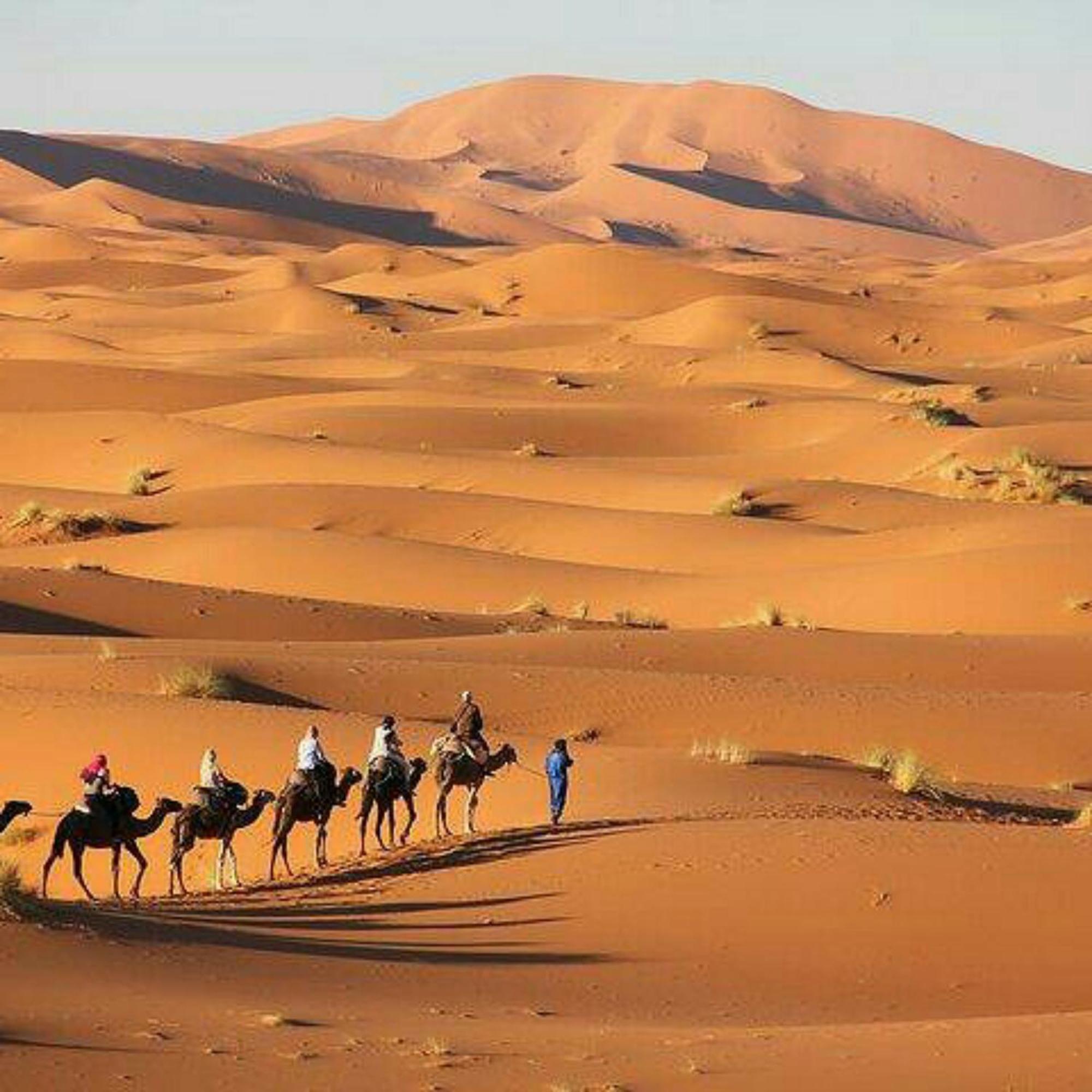 Best Desert Luxury Camp Мерзуга Экстерьер фото